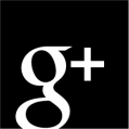 google+ fan page gigi bon venezia rhino