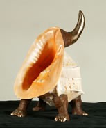 Rhinomago